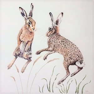 Bouncing Hares