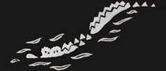 crocodile